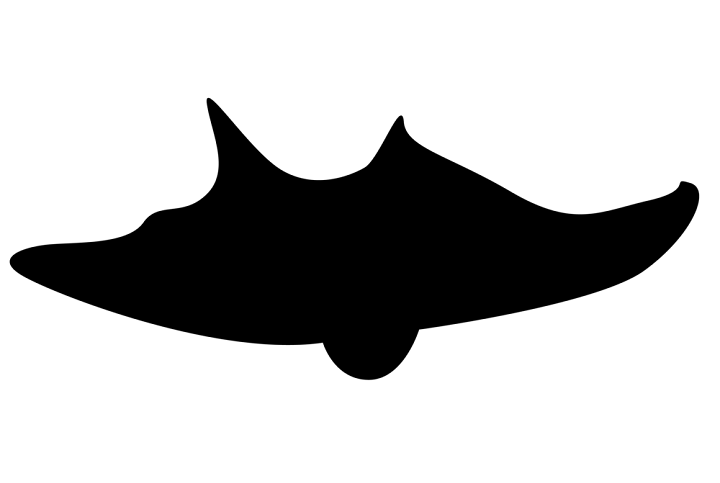 Man Reports 'Large Black Animal' Flying near Rosemont, Illinois, Last July