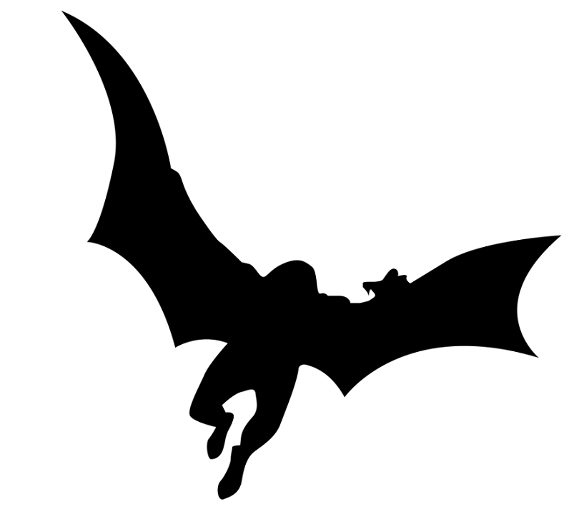 Witness Reports 2011 Sighting of 'Humanoid' with 'Bat-Like Wings' near Downers Grove, Illinois