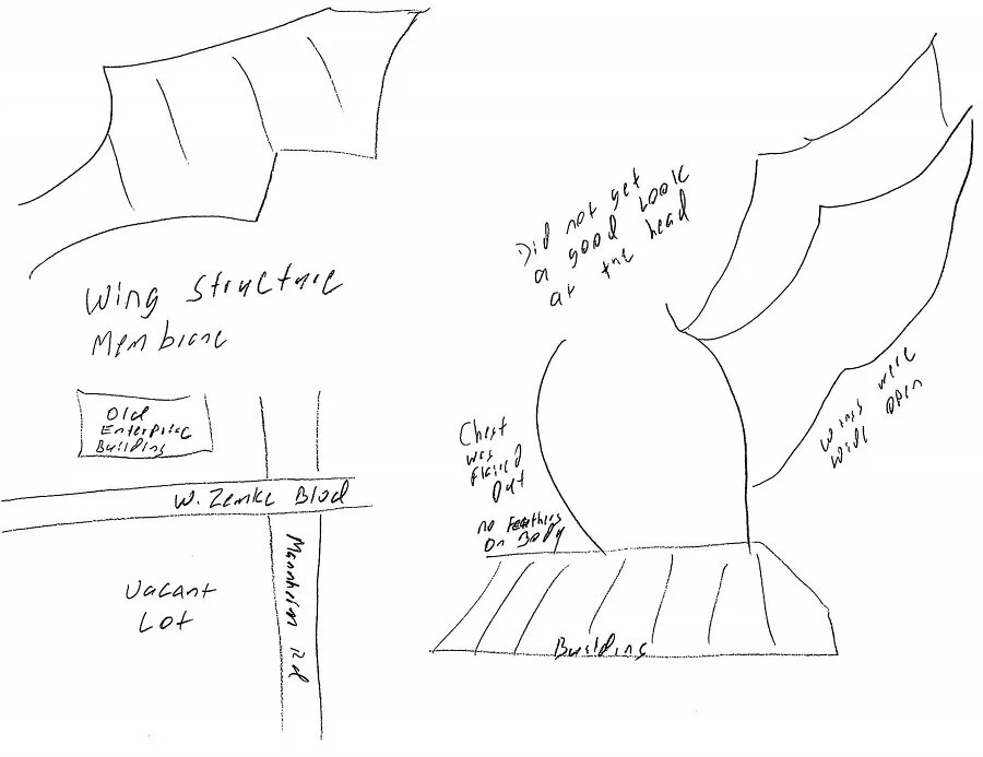 Chicago Paranormal Investigator Reports Sighting of Strange Flying Creature with "Membranous Wings" near O'Hare Airport