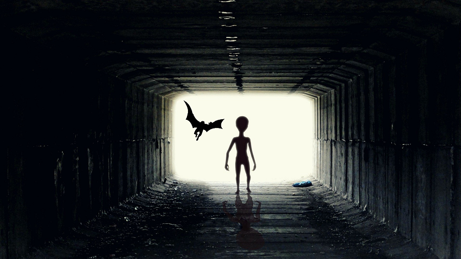 Cargo Company Employee Recounts Series of Strange Events at O'Hare International Airport