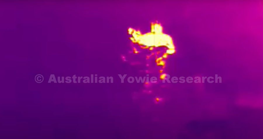 'Australian Yowie Research' Releases Thermal Footage of Alleged Hairy Humanoids