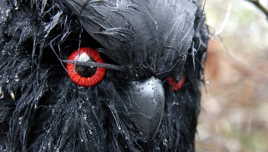 Reports from the Void: 'It Felt Like Something was Staring Back'