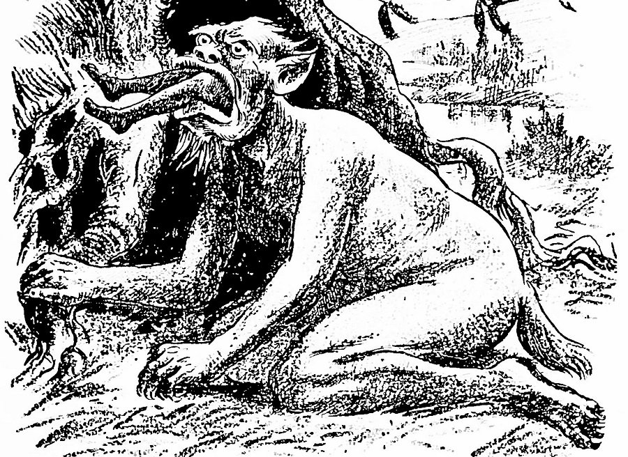 Plantation Workers Claim to Have Encountered 'Yowie' in Rural Queensland, Australia