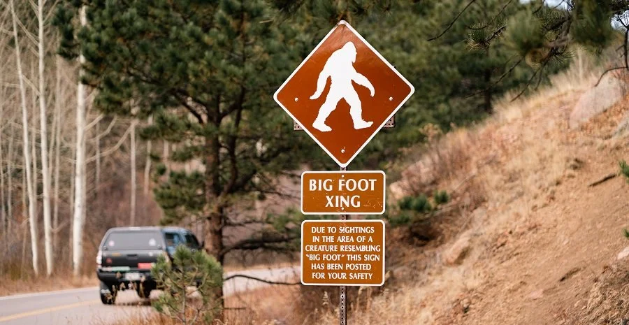 "Very Reliable Sighting" of Bigfoot in Illinois Reported to BFRO