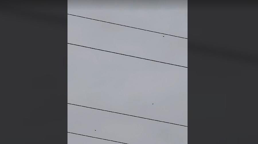 Witnesses Claim to Have Recorded Three "Winged Humanoids" in Bensenville, Illinois