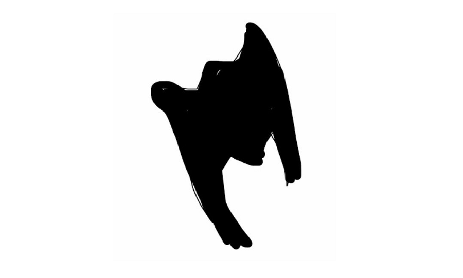 Man Reports "Black Thing" with Wings near St. Joseph Cemetery in River Grove, Illinois