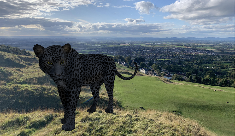 DNA Evidence May Help Prove Existence Of Big Cats In The United Kingdom dna-evidence-may-help-prove-existence-of-big-cats-in-the-united-kingdom