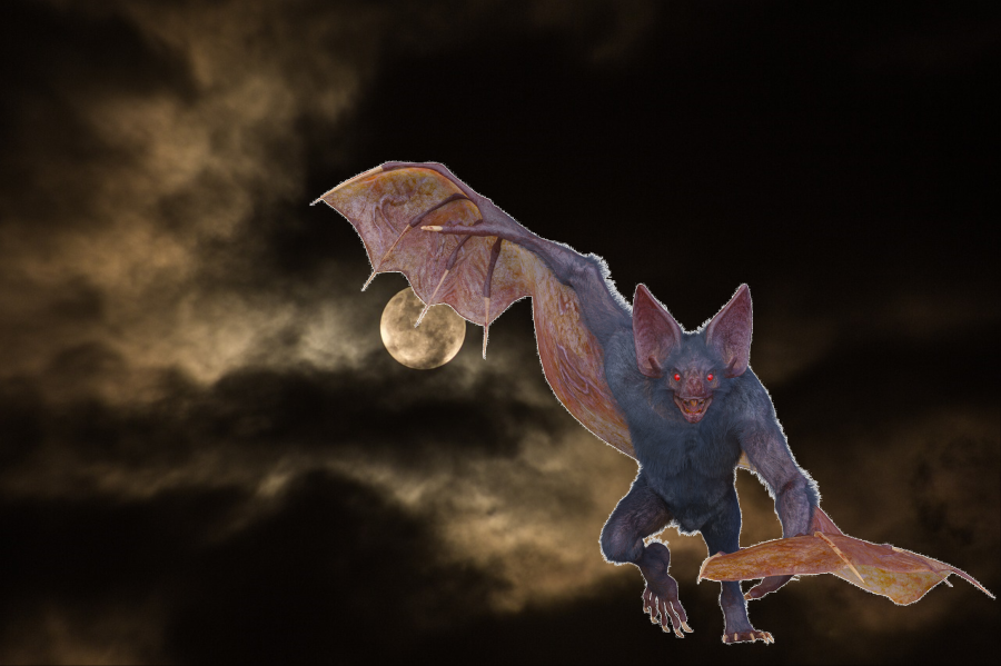 Reports from the Void: 'Bat-Human Looking Creature'