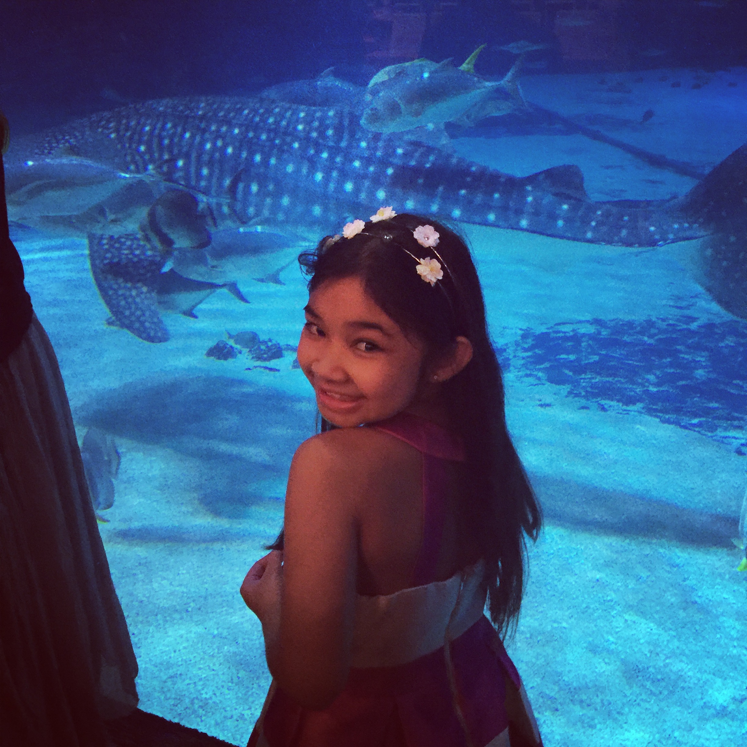 Whale Shark!!!