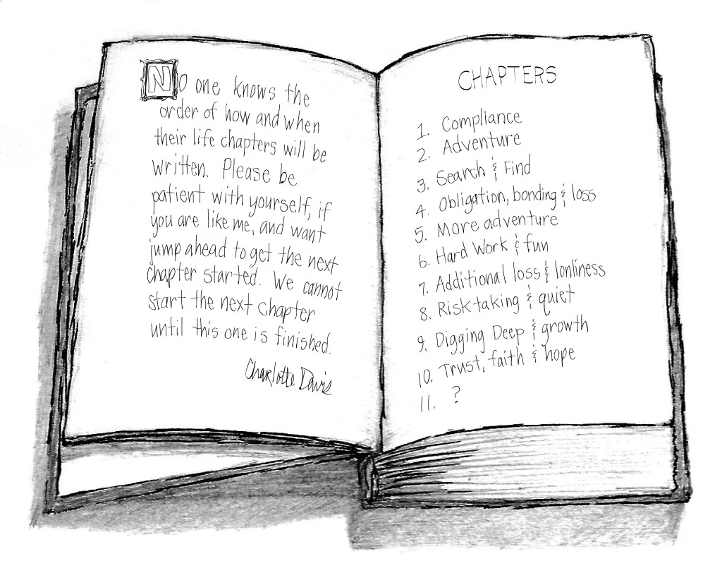 chapters-of-my-life-book-1024x812.jpg