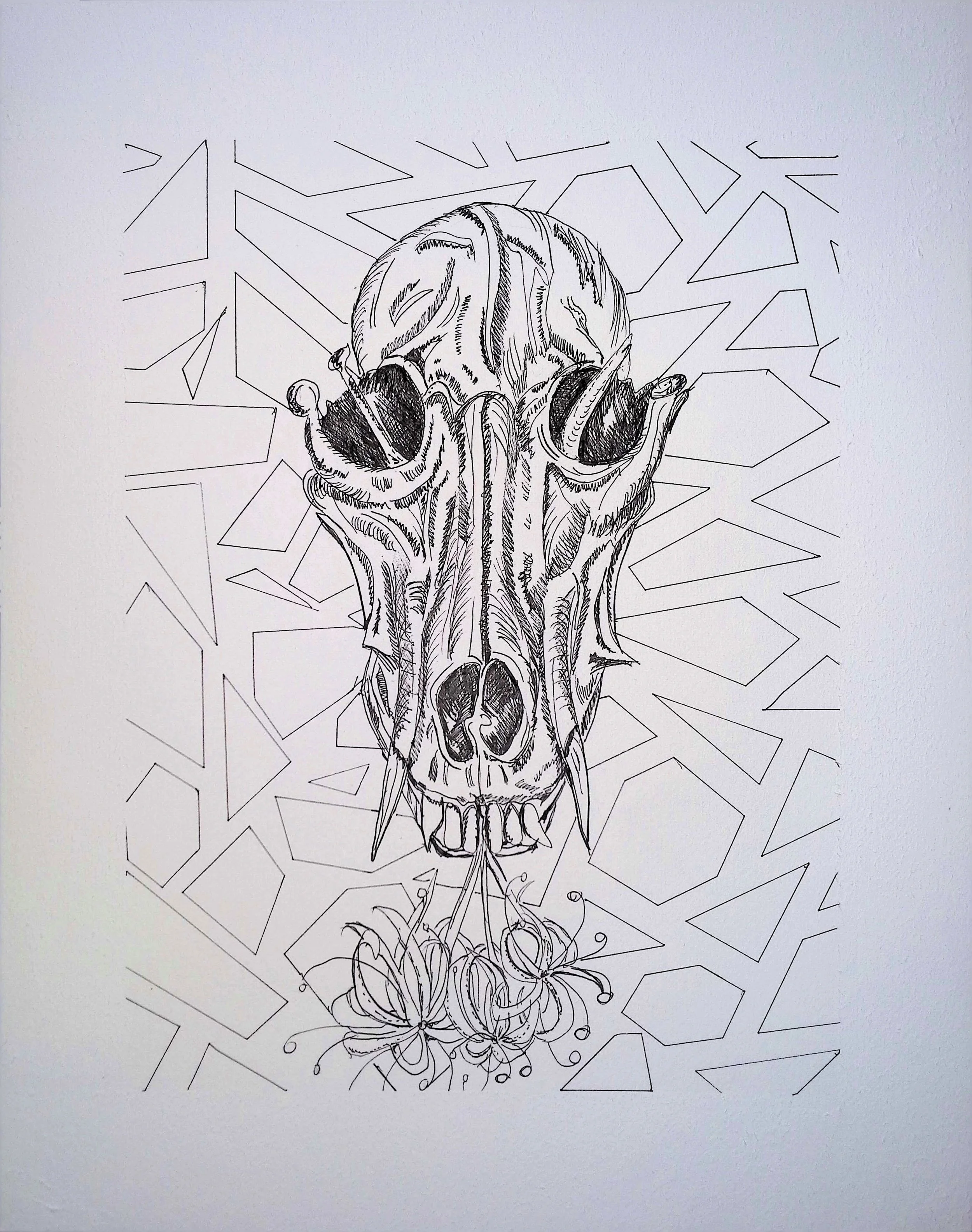 002_WolfSkull_2025.jpg