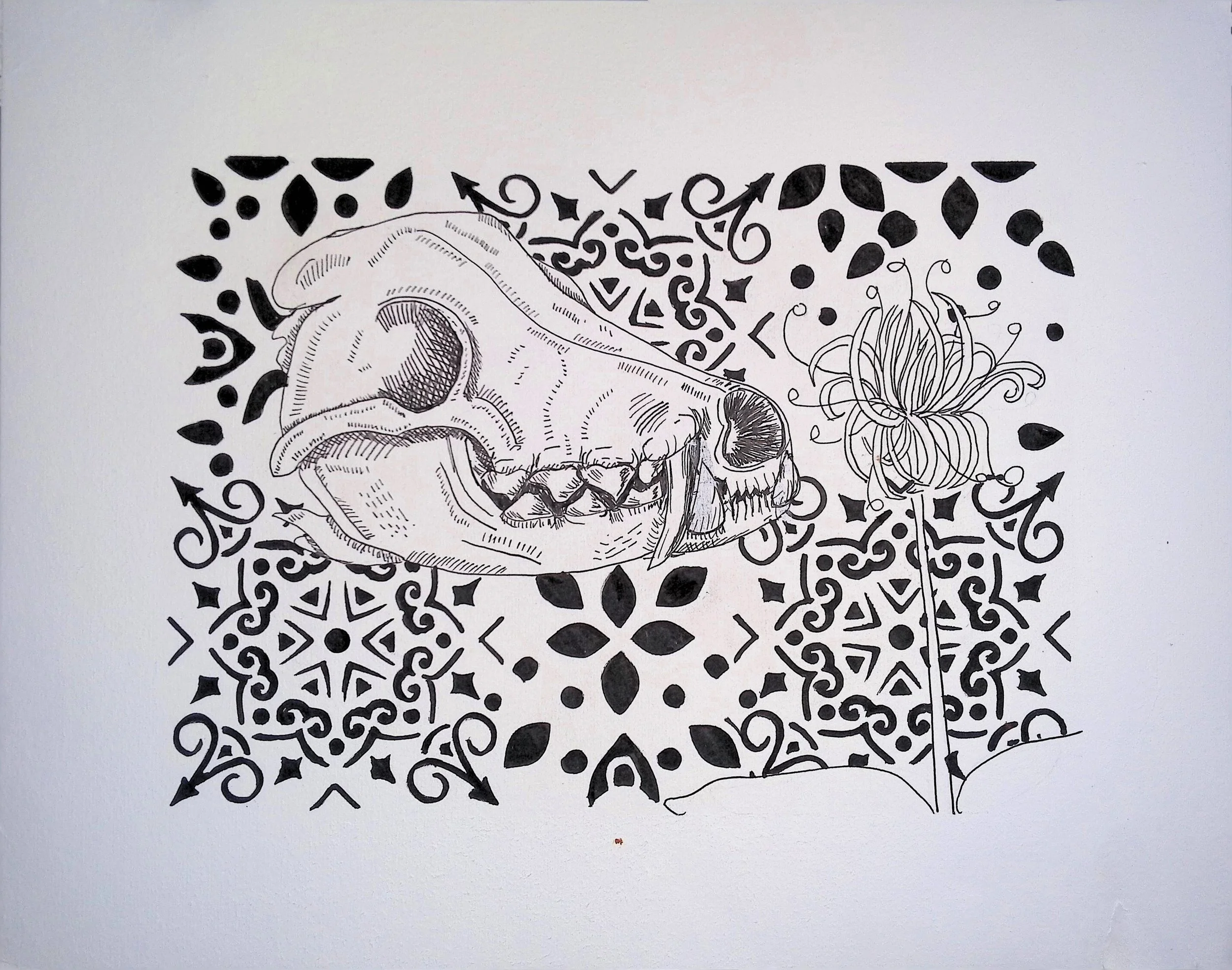 013_WolfSkull_2025.jpg