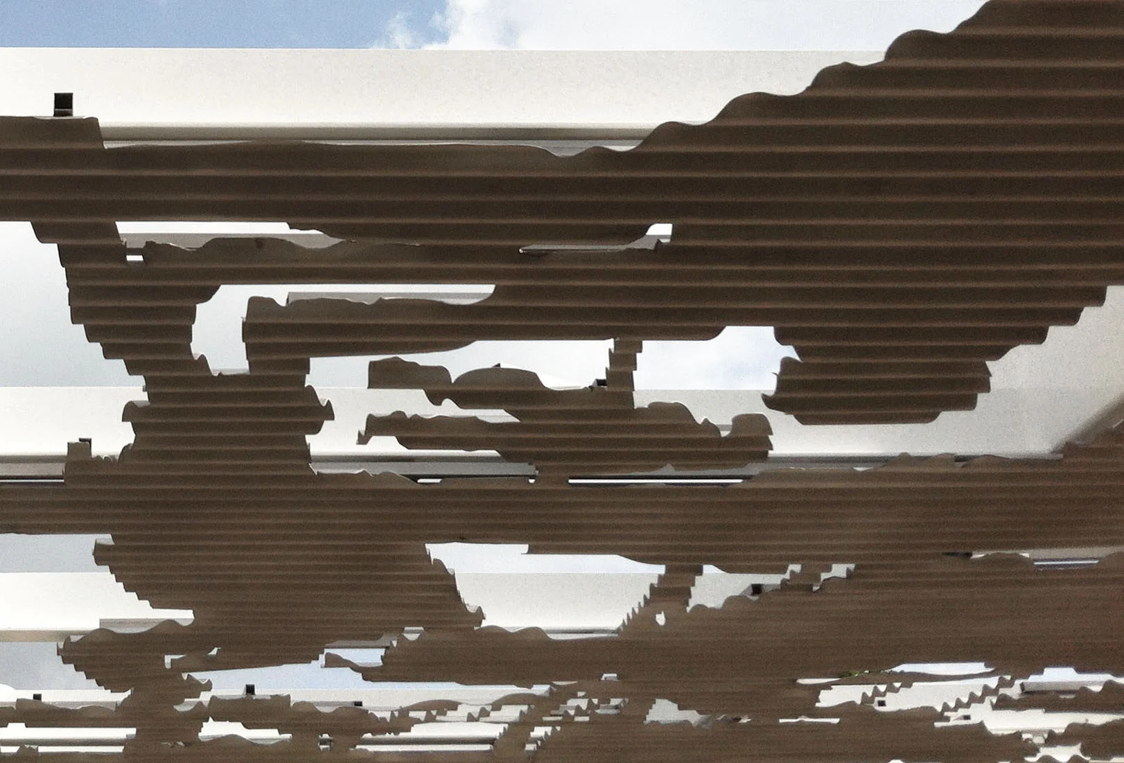 ATP_new canopy pic 2.jpg