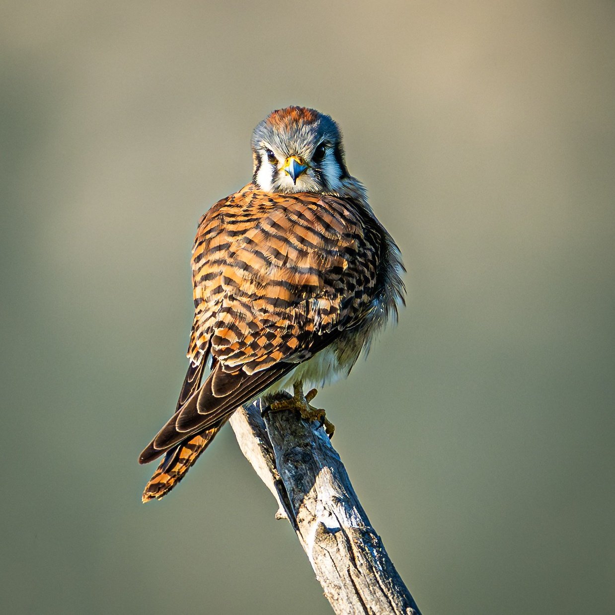 DSC_7990-topaz-sharpen.jpg
