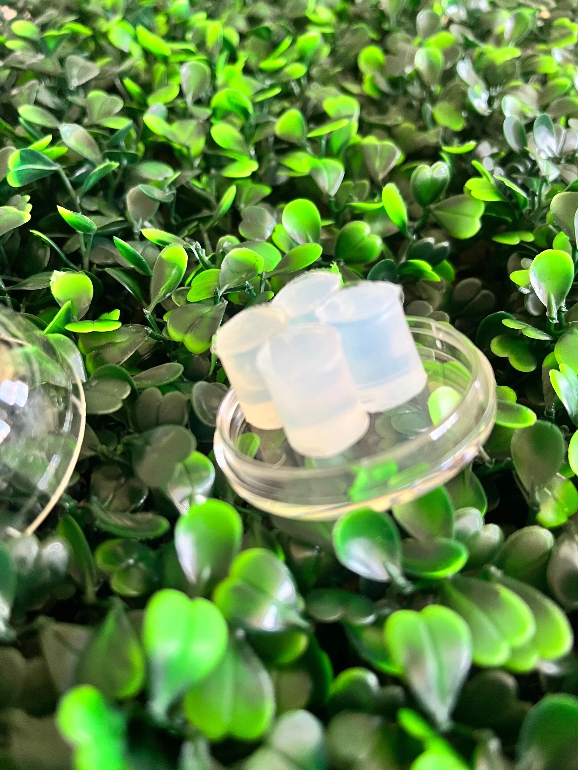 A044D09D-6FF8-4EC5-8797-D8CFA1D83786