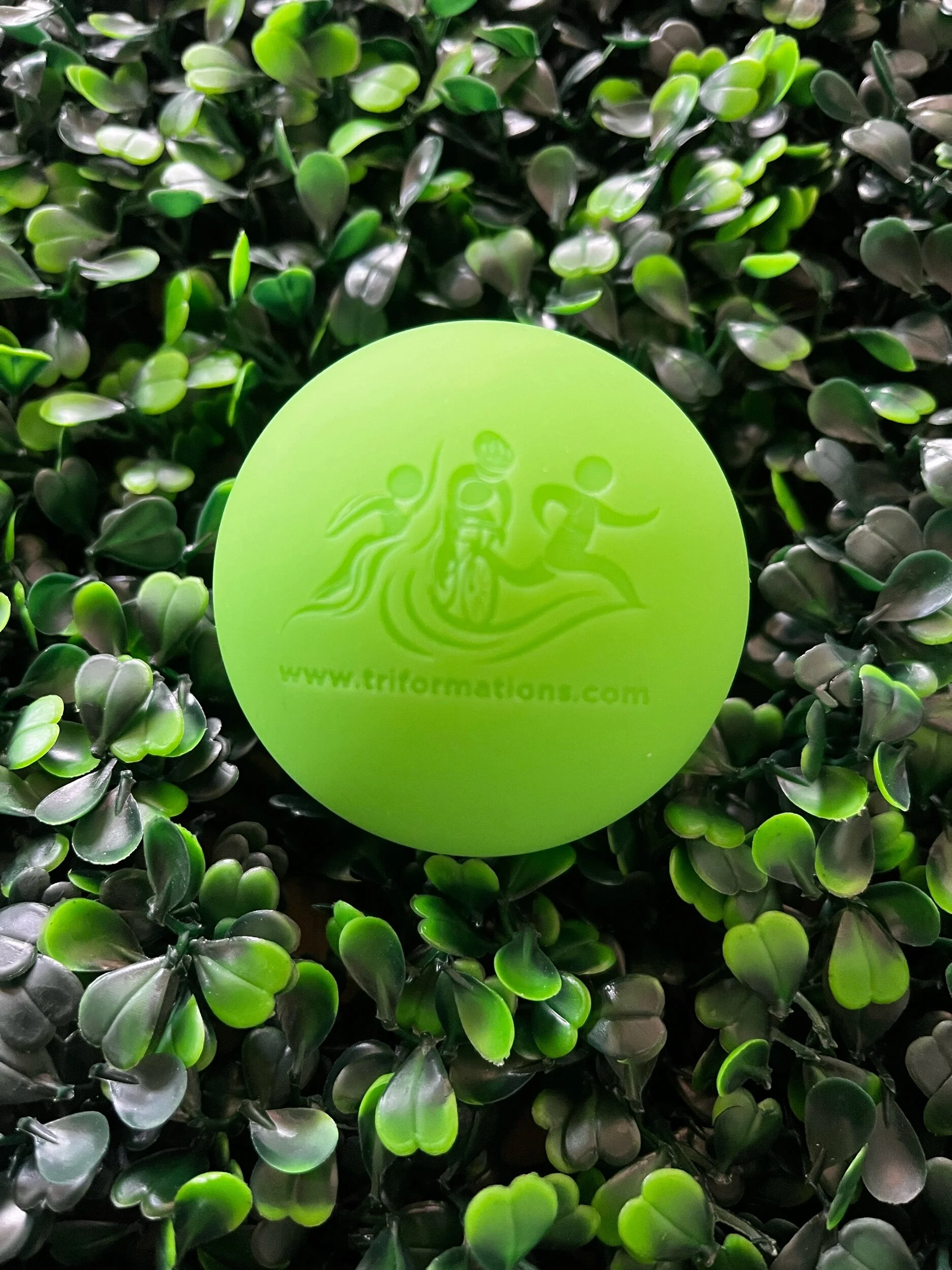 8656B0E1-7402-497D-9142-6EEB123D019C