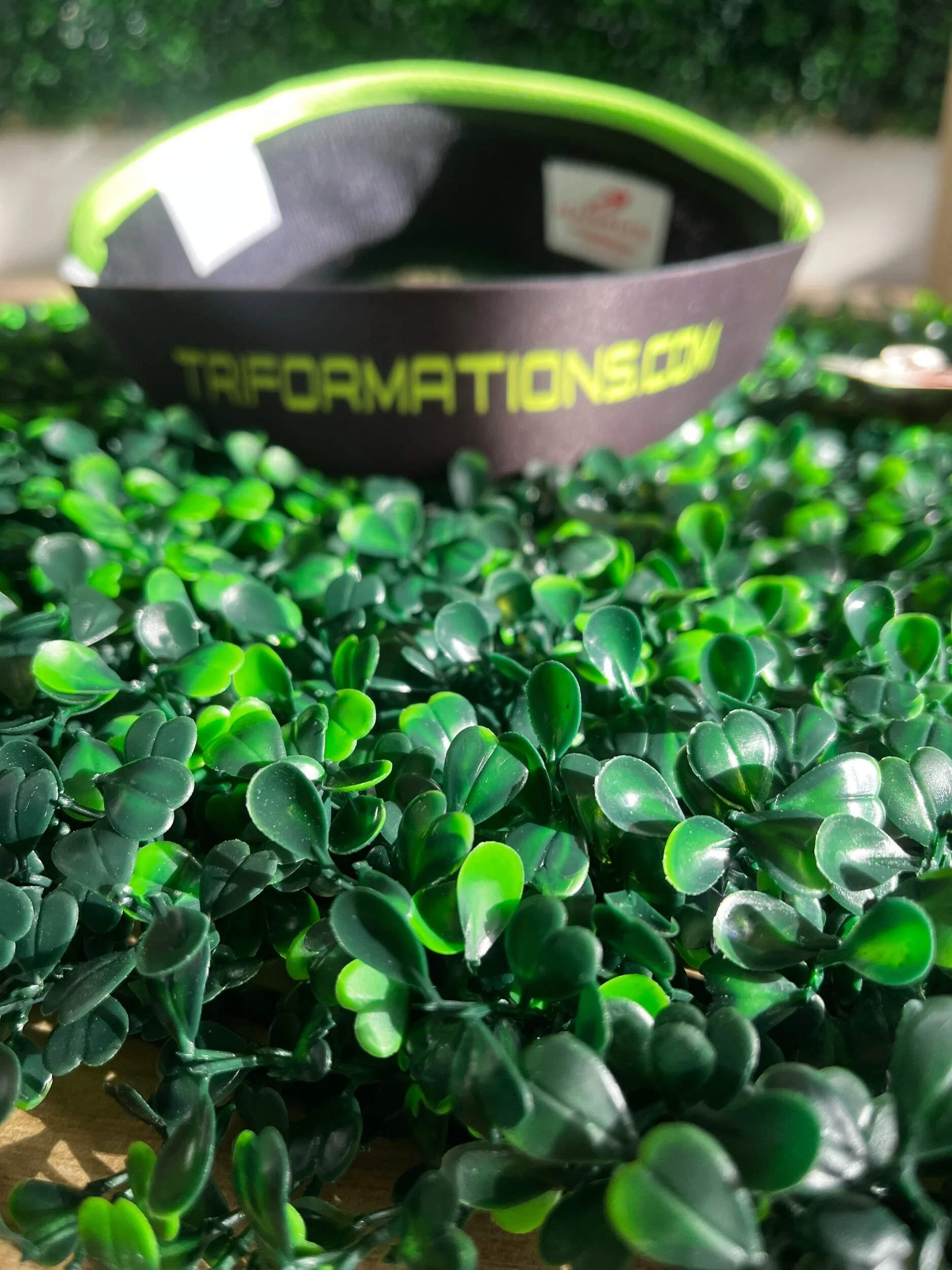 335F69EE-DF58-4963-9649-E48DA4C02FCA