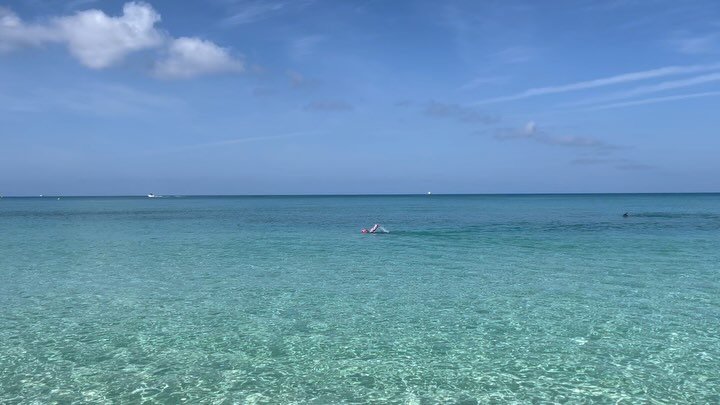 Participants from @theclubcricketsquare were training hard today in prep for the @flowersswims coming up in June!  Less than five weeks to go 🥳👍🏊🏽&zwj;♀️💦

#triformations #flowersseaswim #caymanislands #openwaterswimming #swimming #endurance #ra