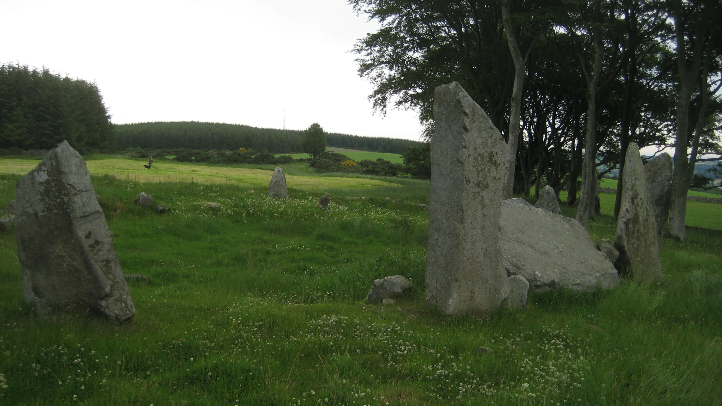 Dyce SC Tyrebagger from behind recumbent.JPG