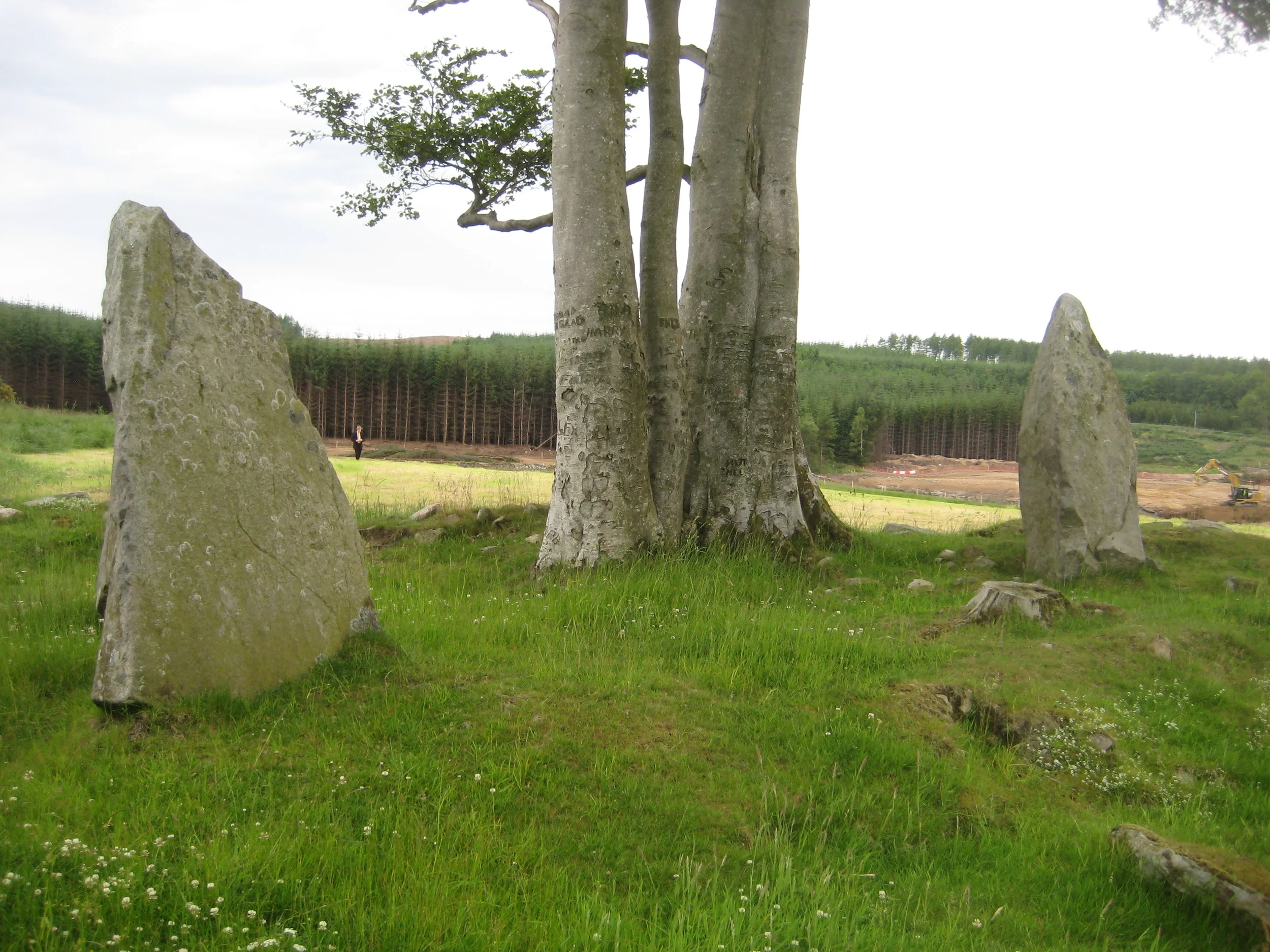 Dyce SC Tyrebagger 2sones trees roadworks dad.JPG
