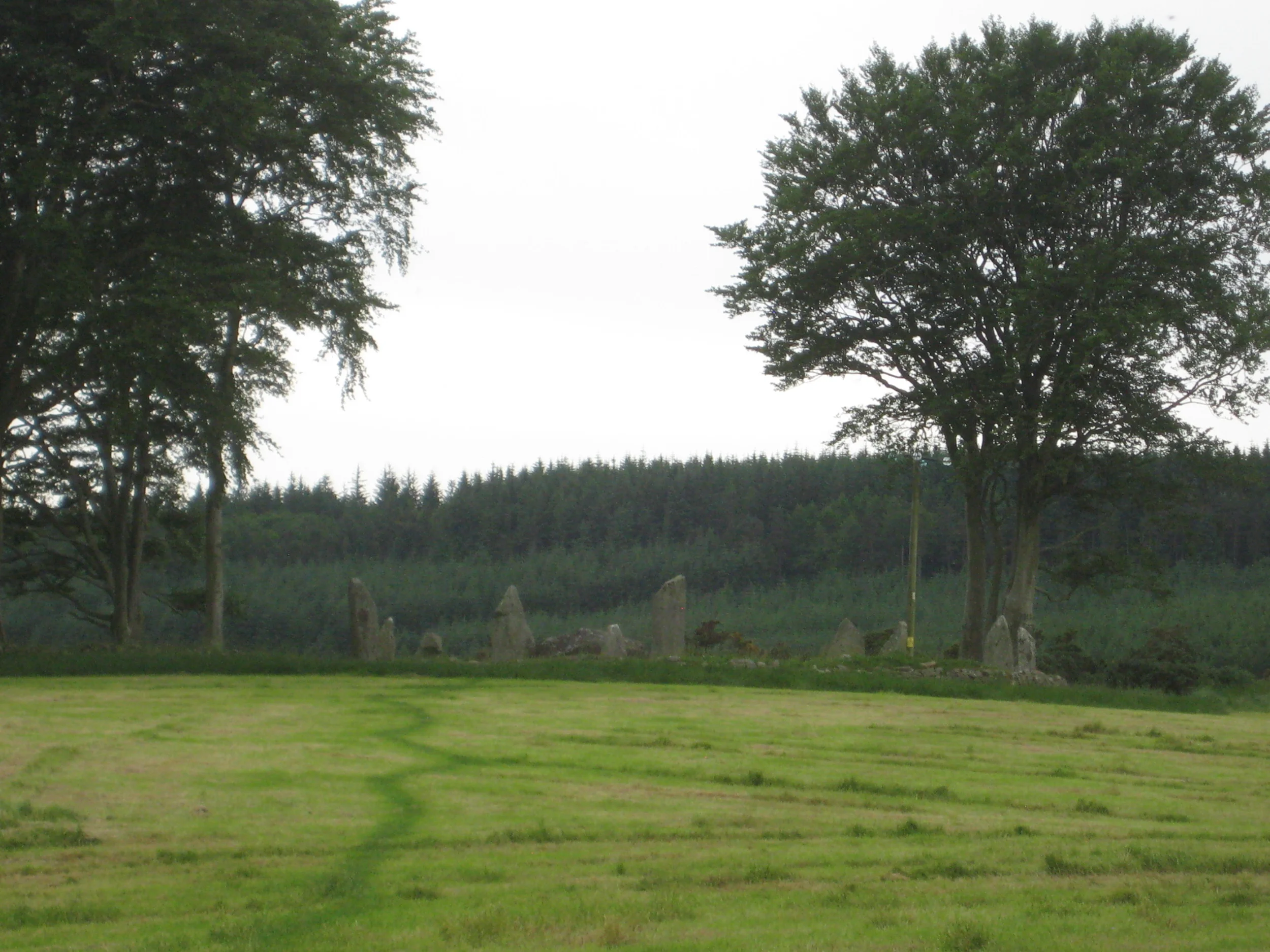 Dyce SC Tyrebagger overview.JPG