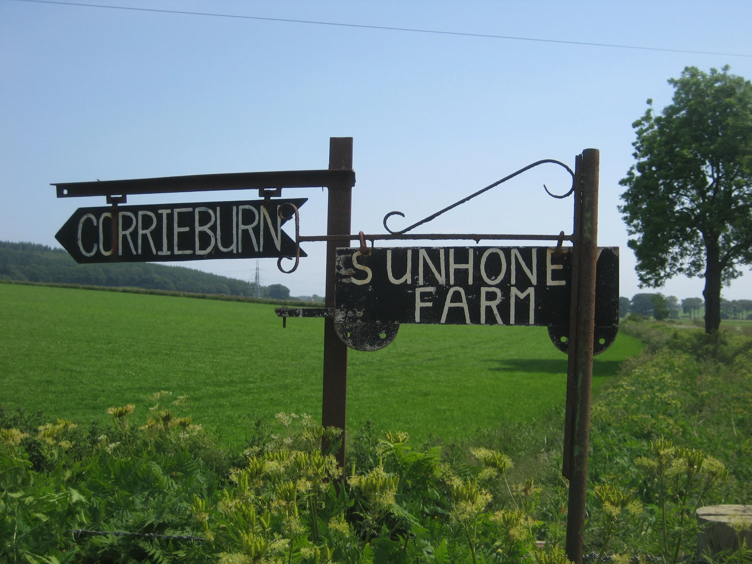 Sunhoney signs.JPG