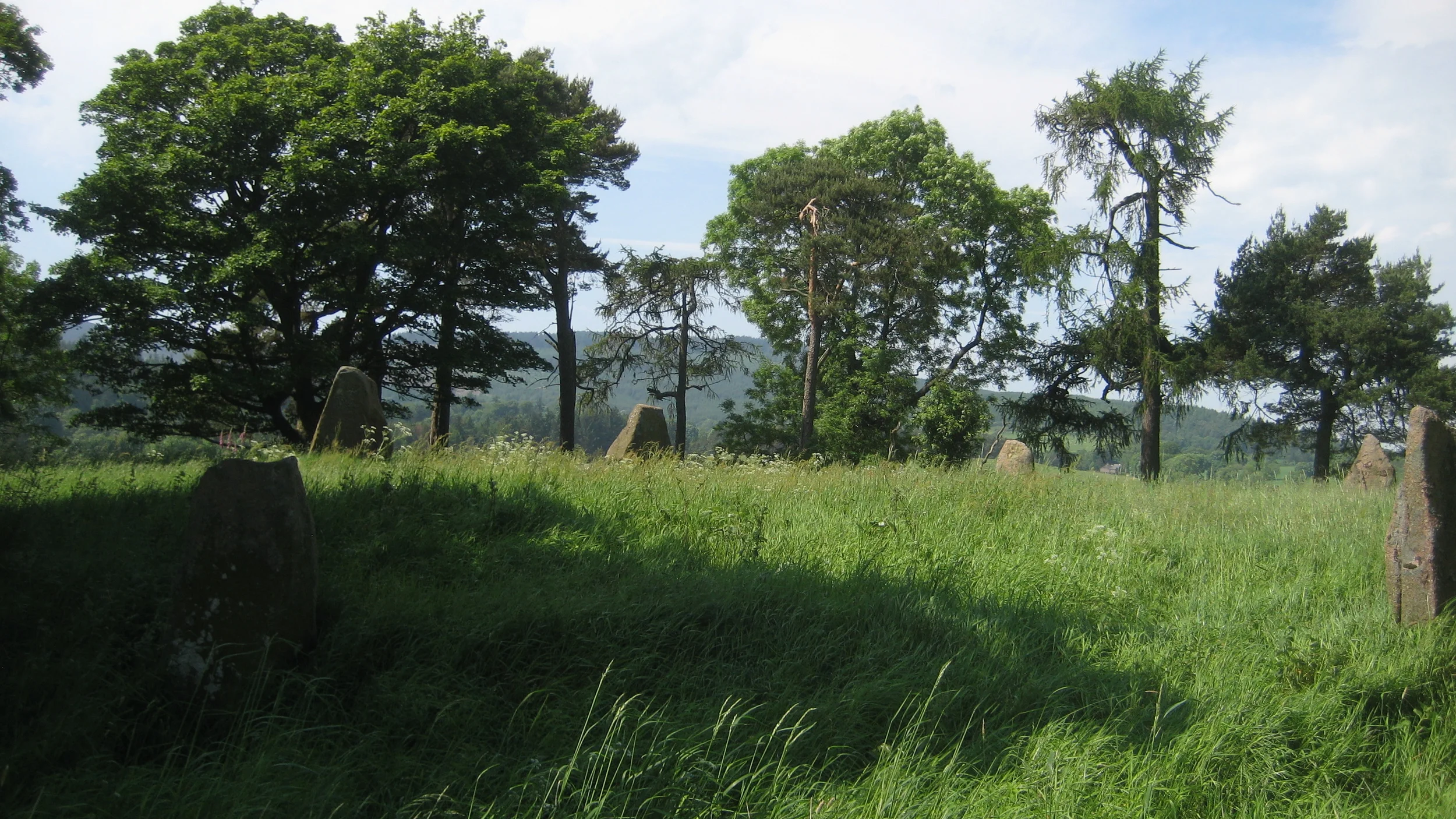 Sunhoney wide circle w grass.JPG