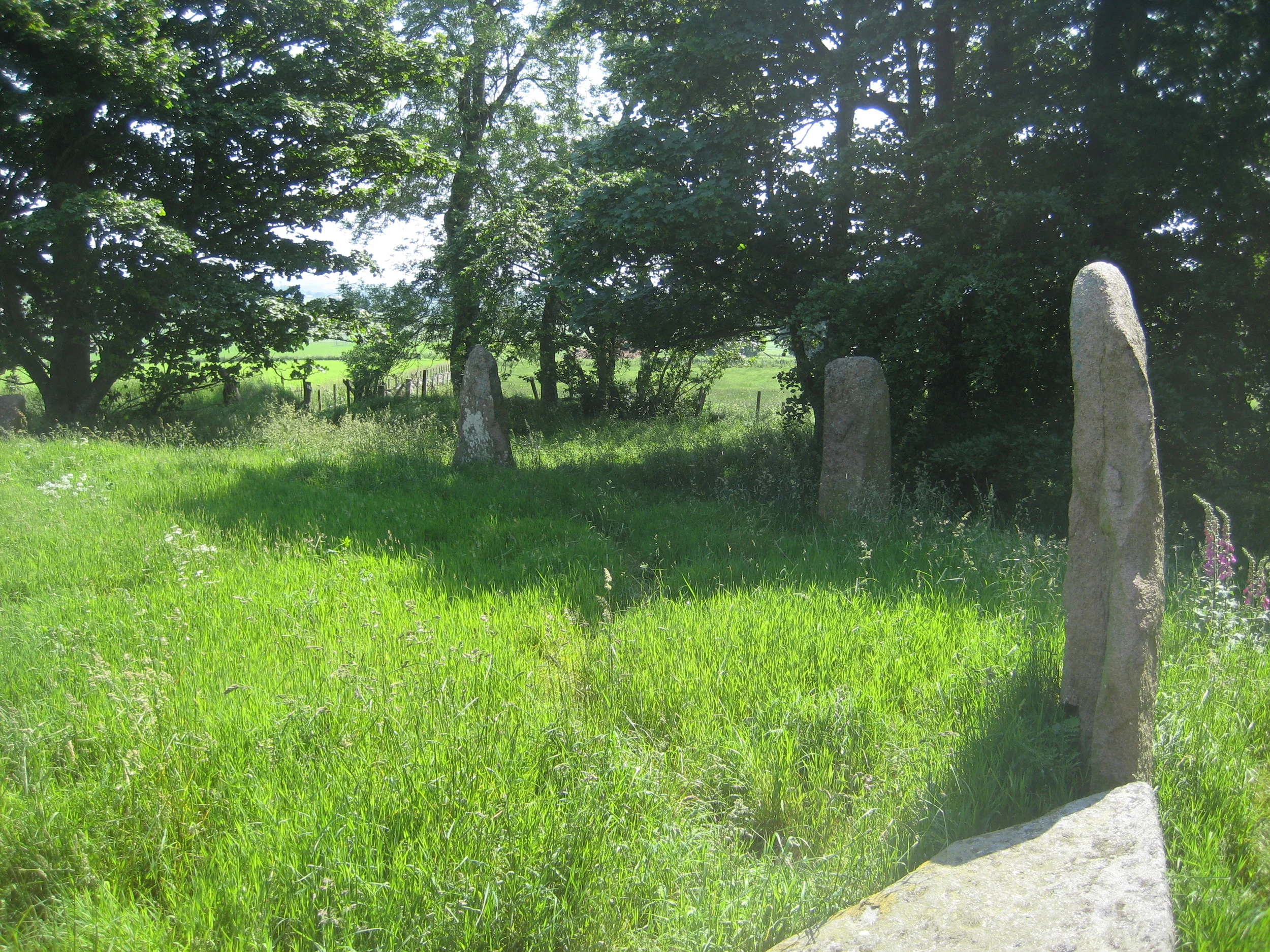 Sunhoney east ring.JPG