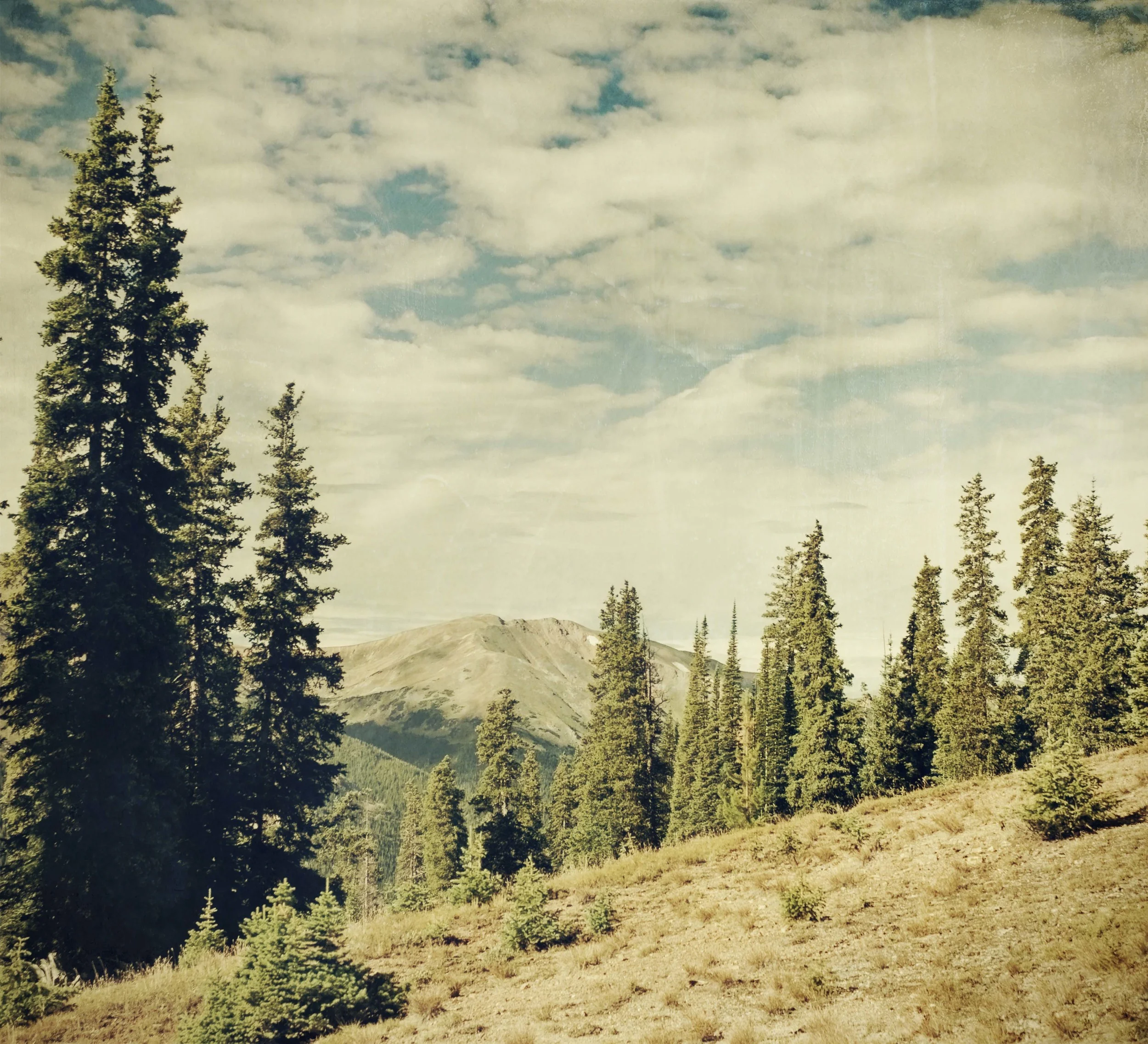 completely quite_1.JPG