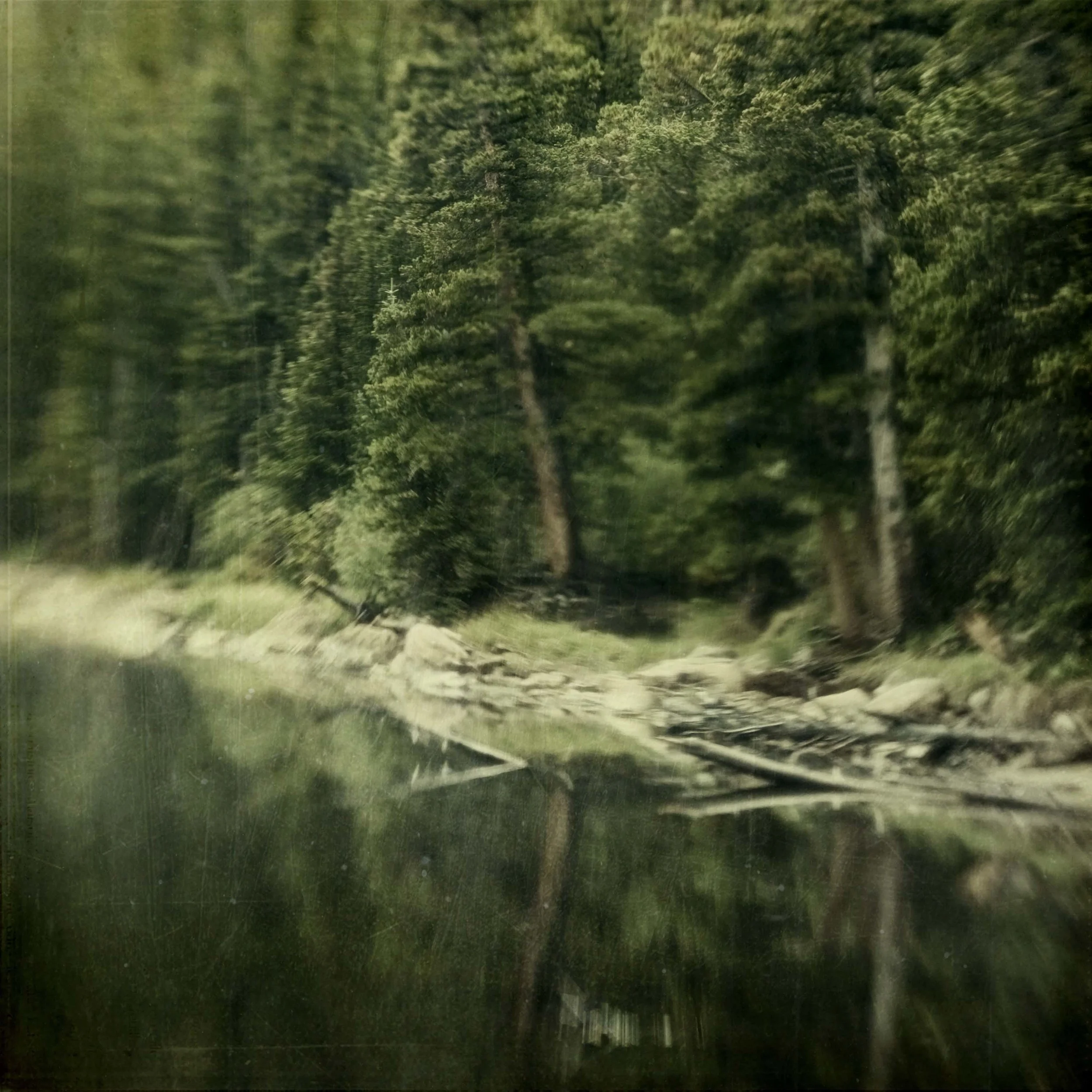 reflected dimly_1.JPG