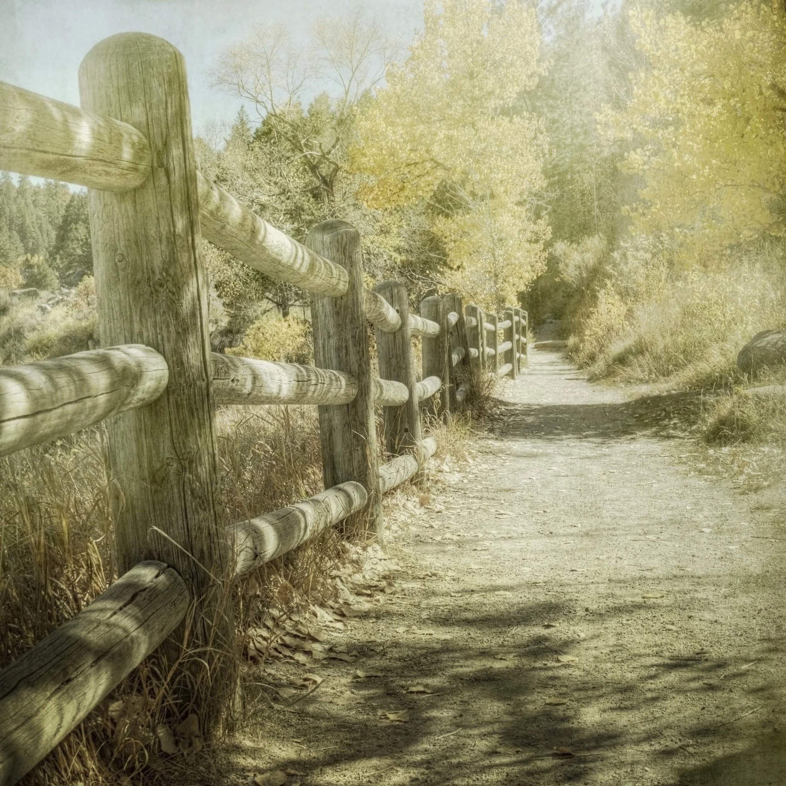 path_1.JPG