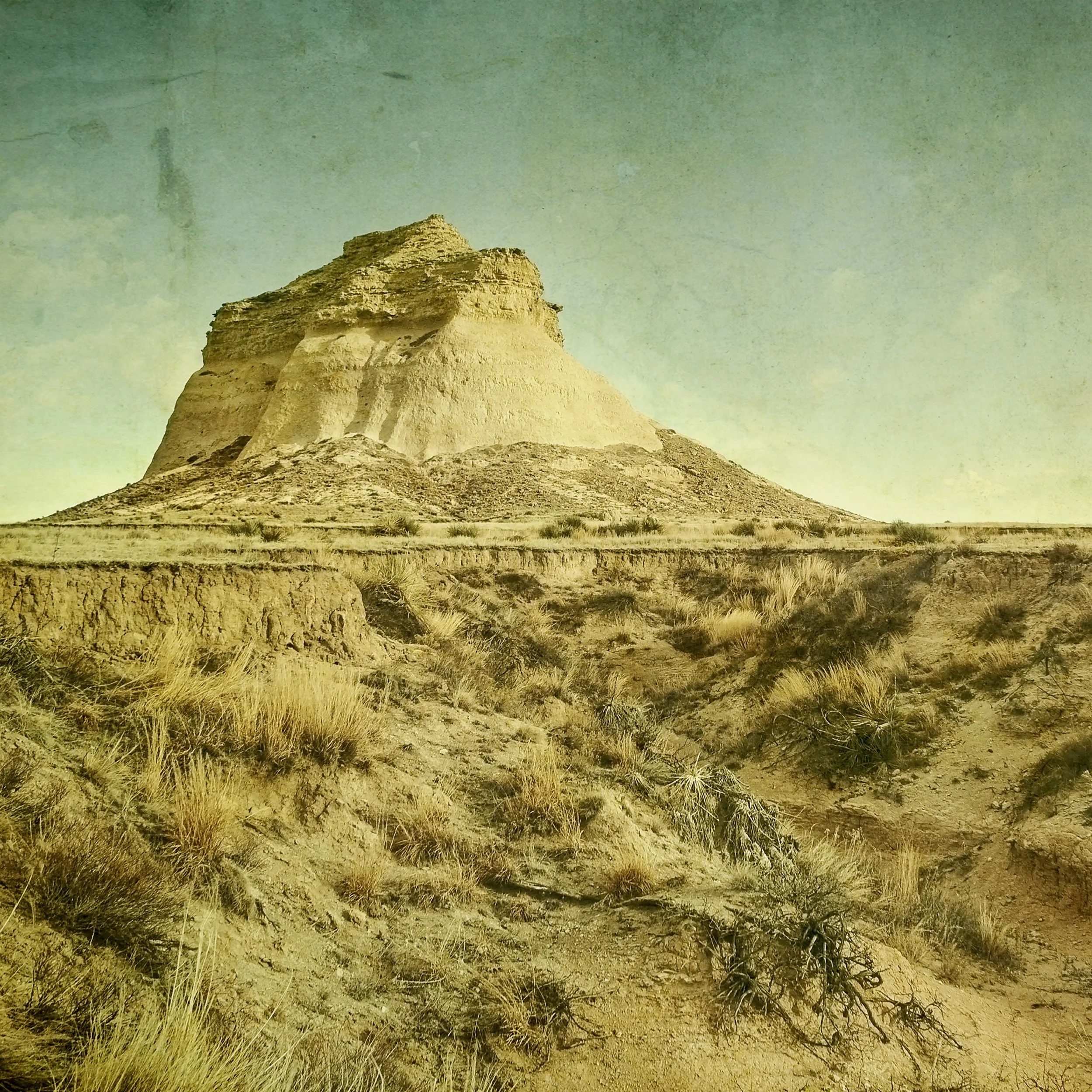 distant calling_1.JPG