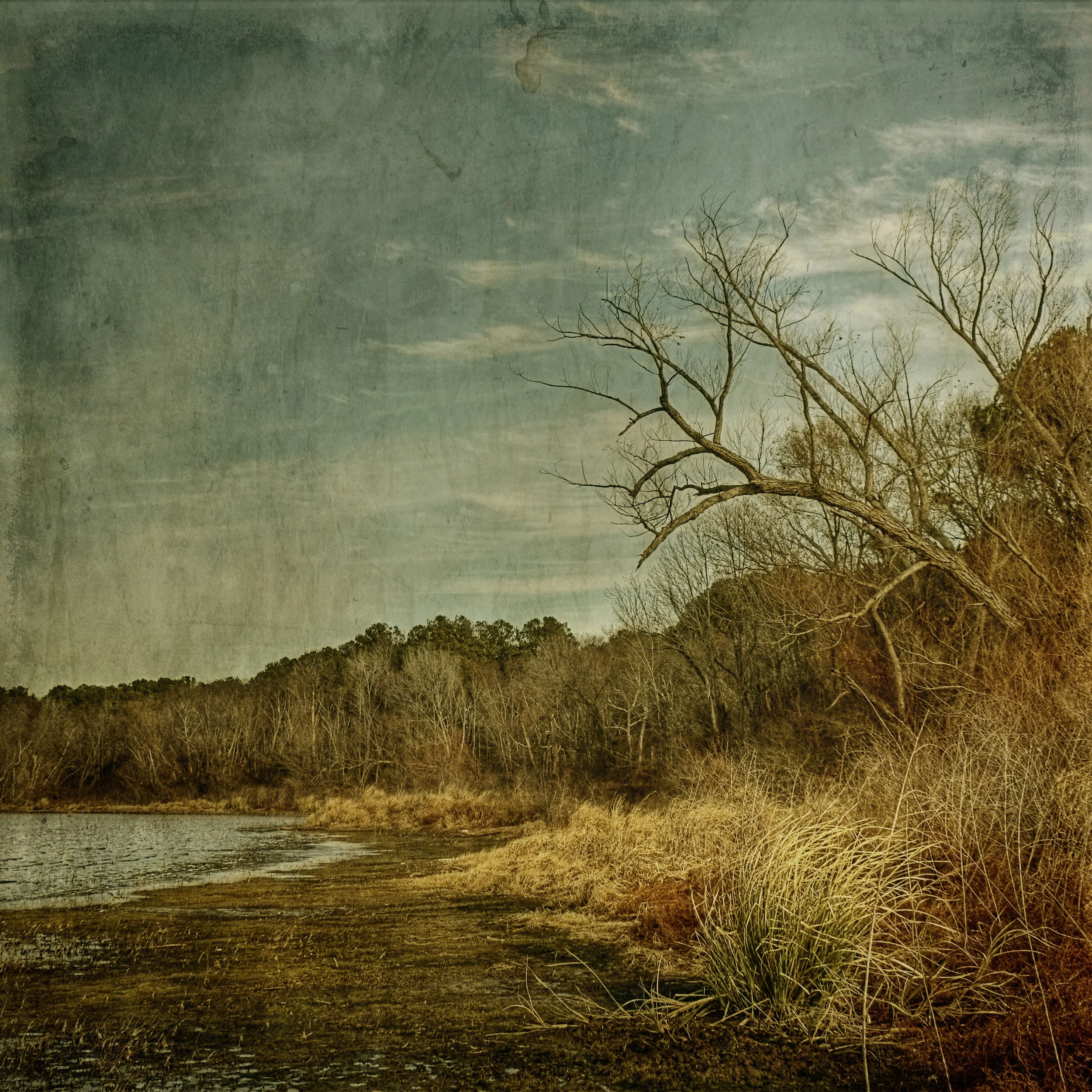 receding boundry.JPG