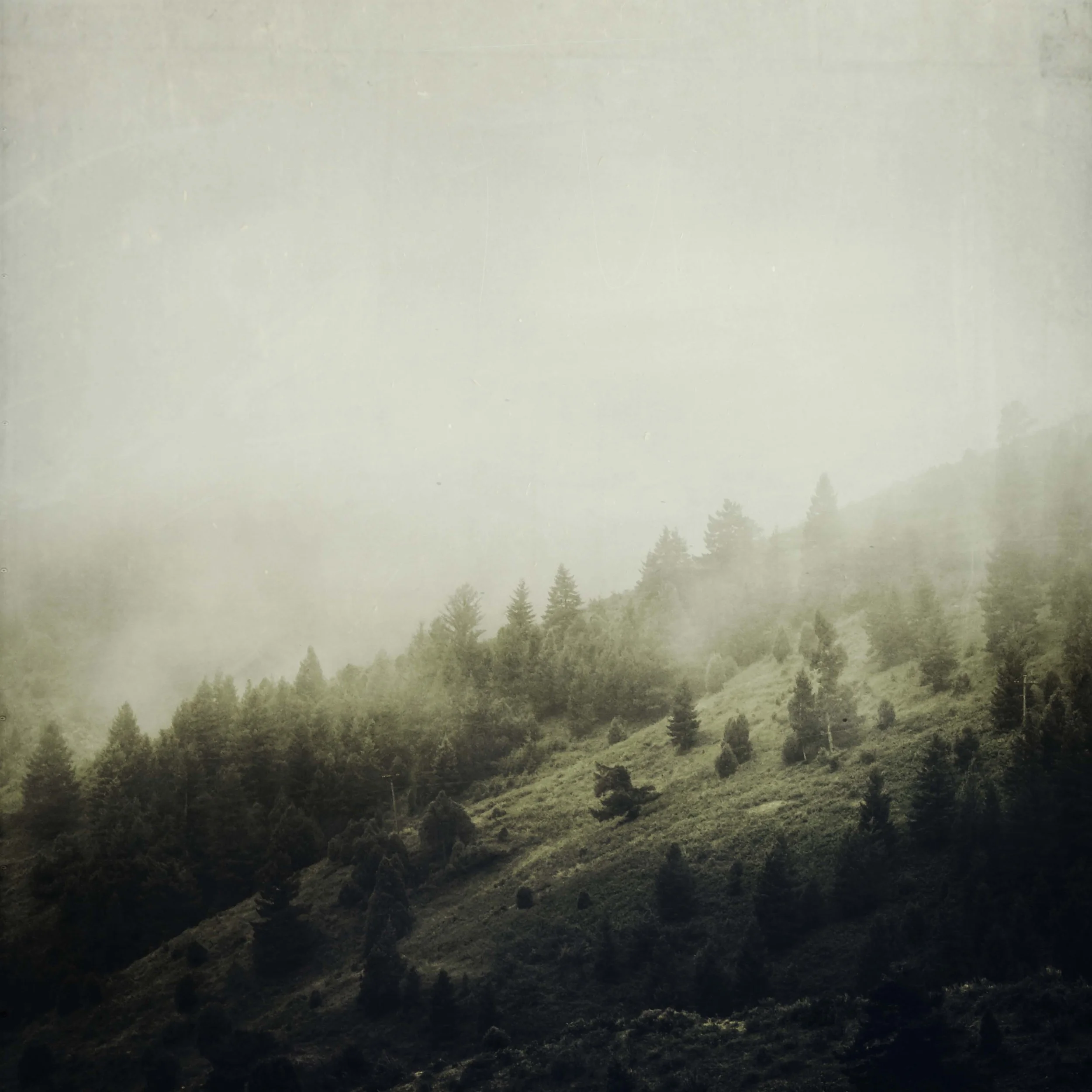 replacing reason_1.JPG