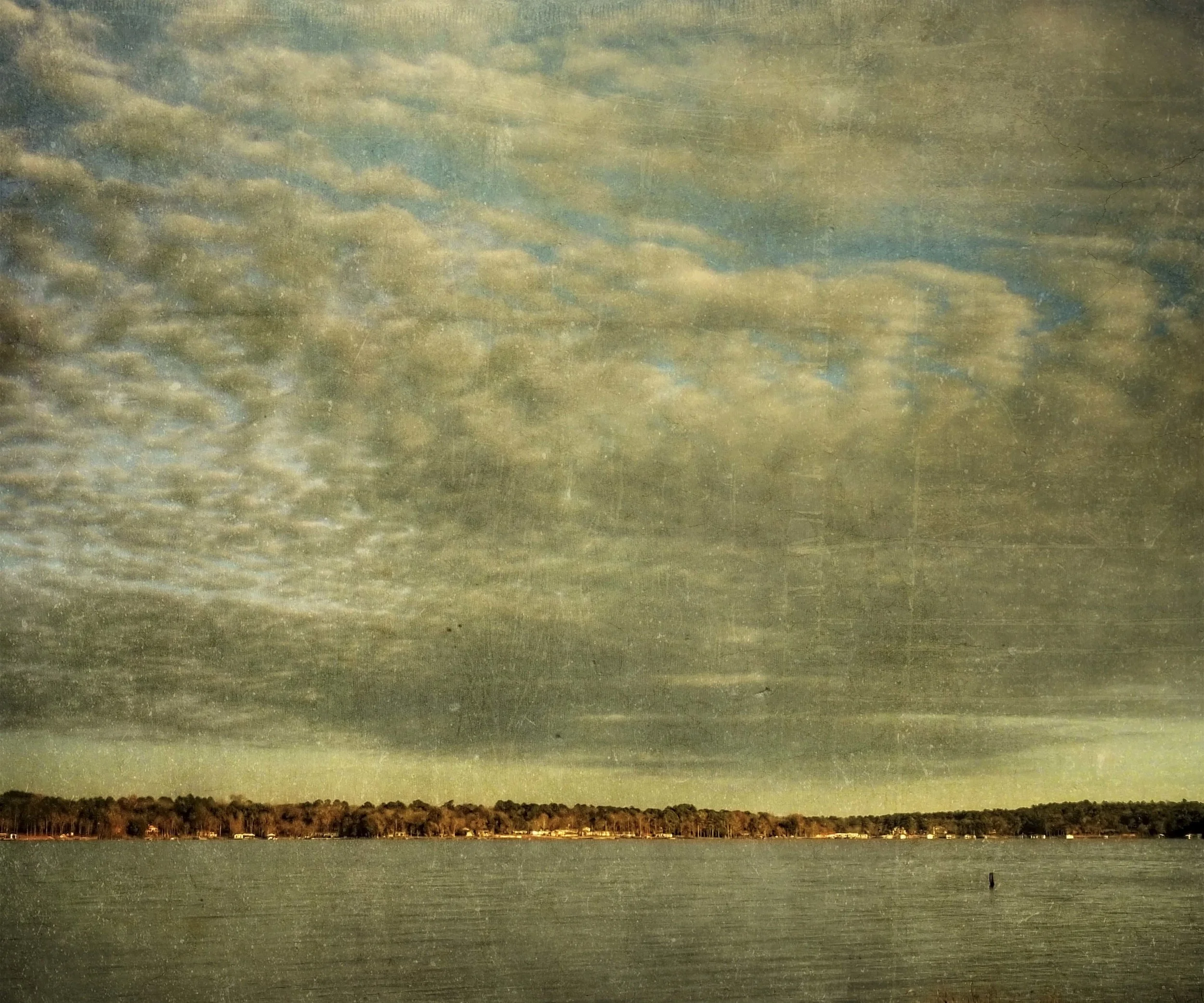 the eastern shore_1.JPG