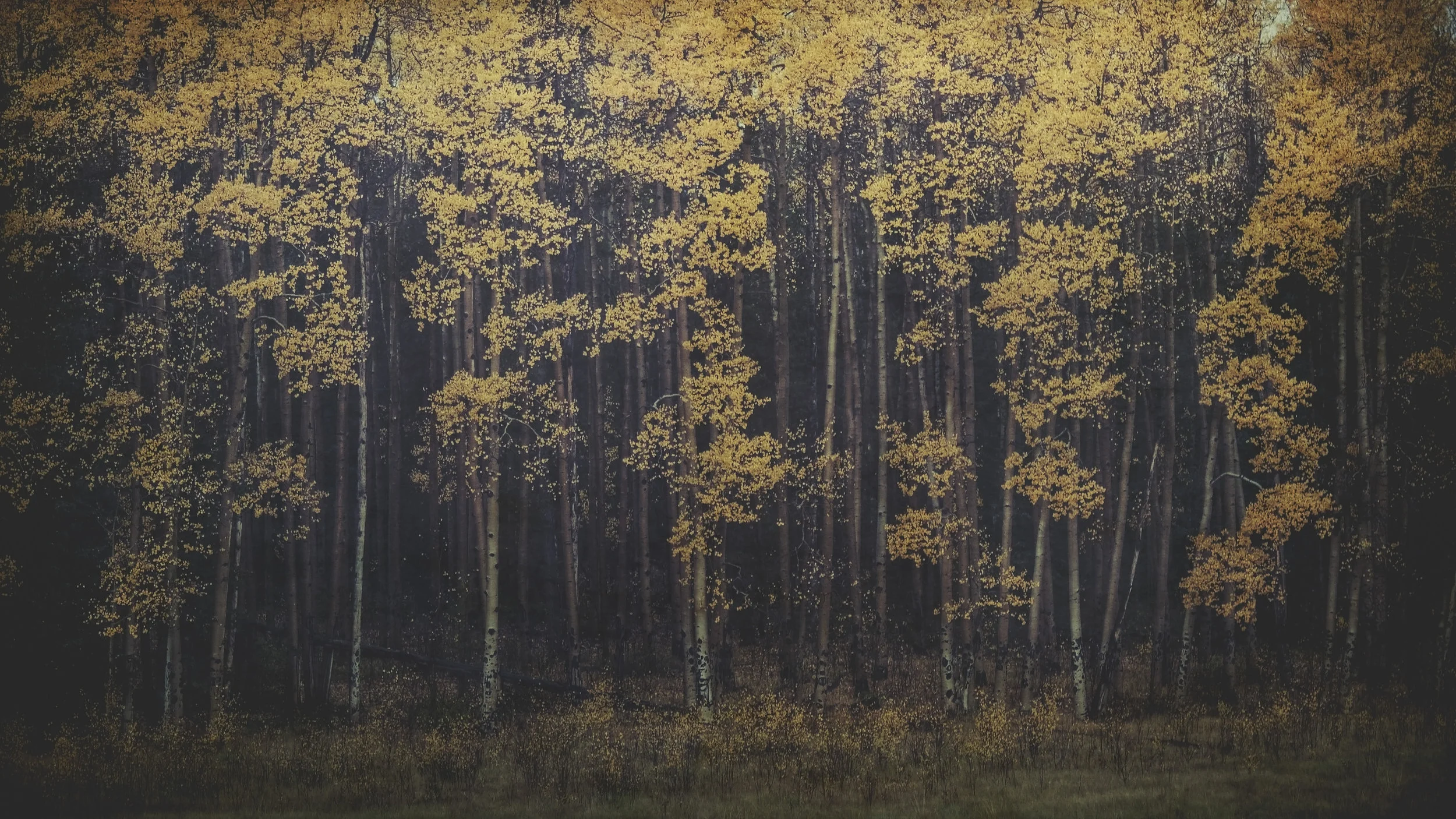 news in the dark.JPG