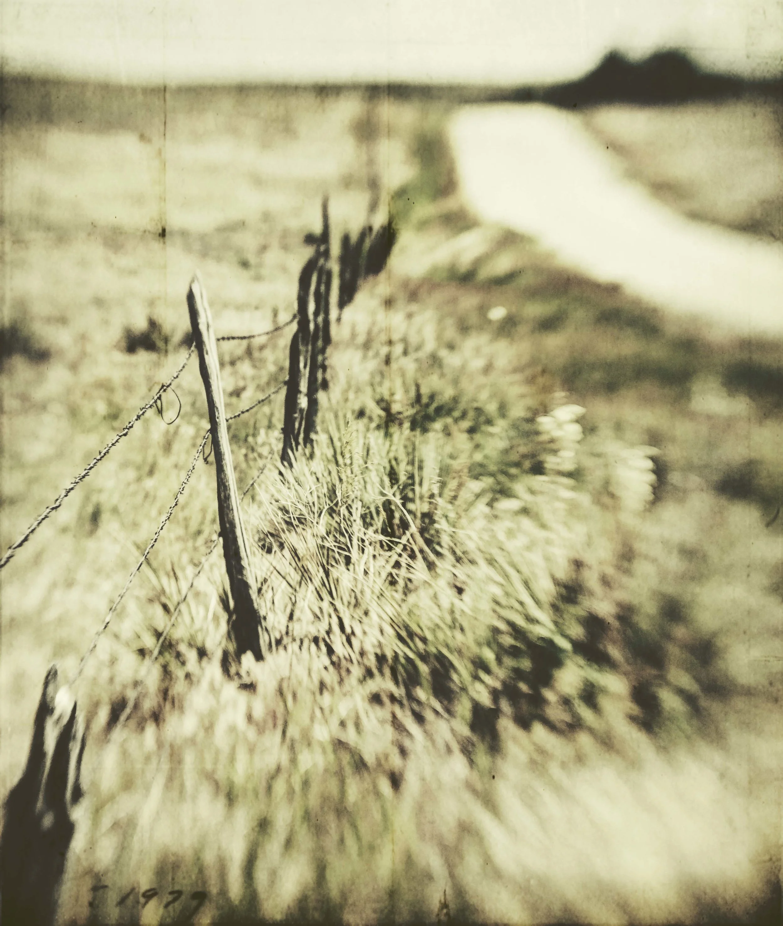 along rr 40.JPG