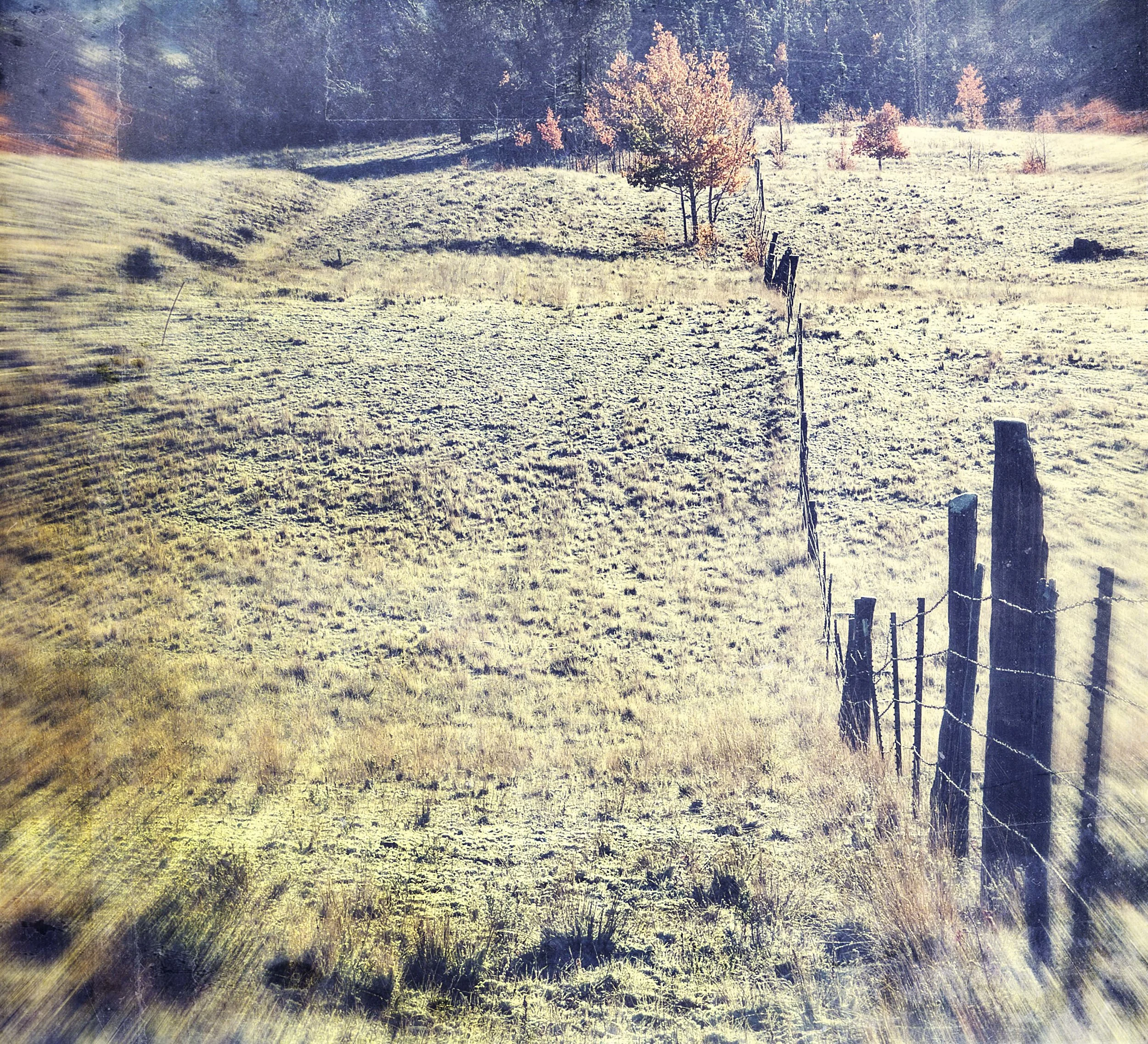 row ends in fire.JPG