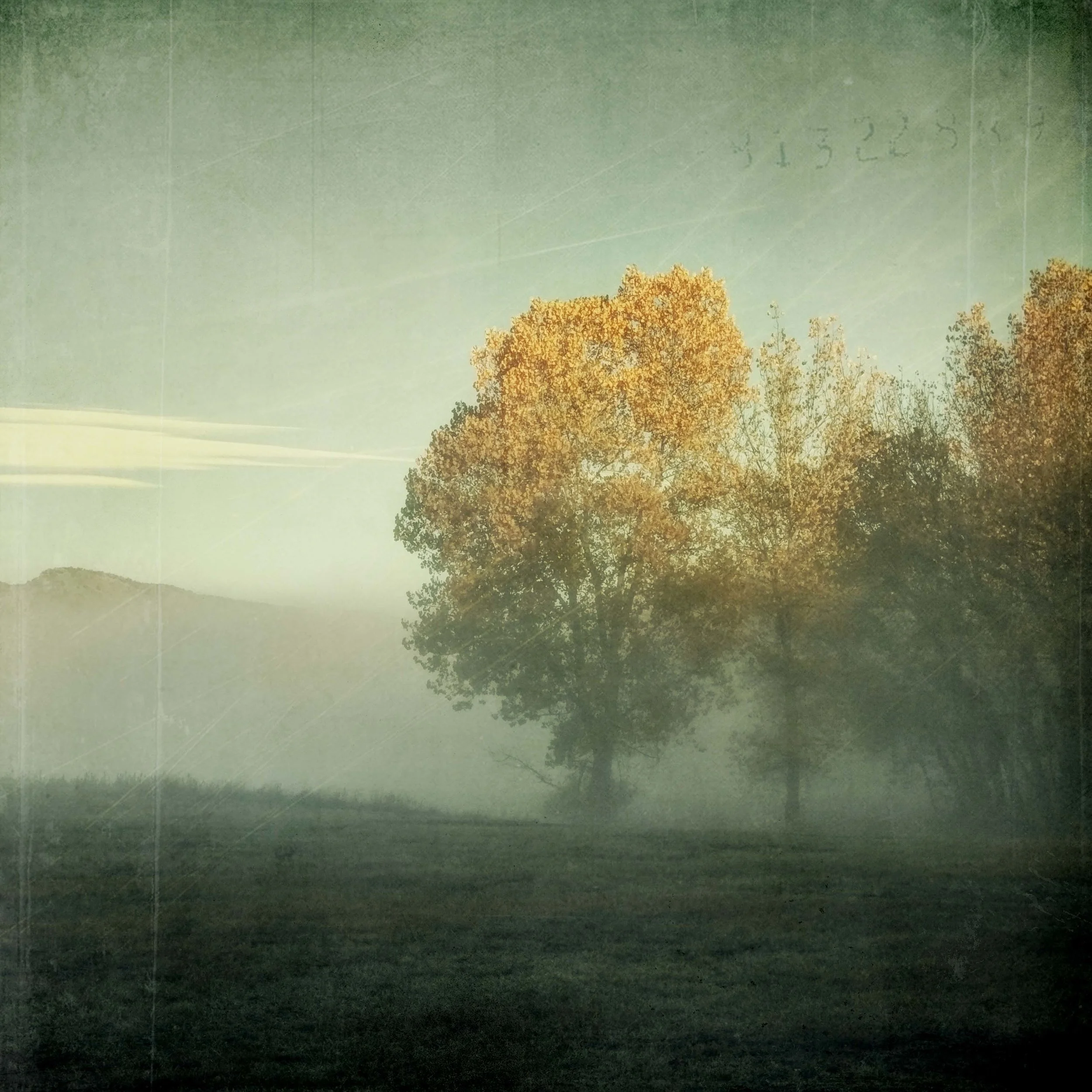 orange out of the fog.JPG