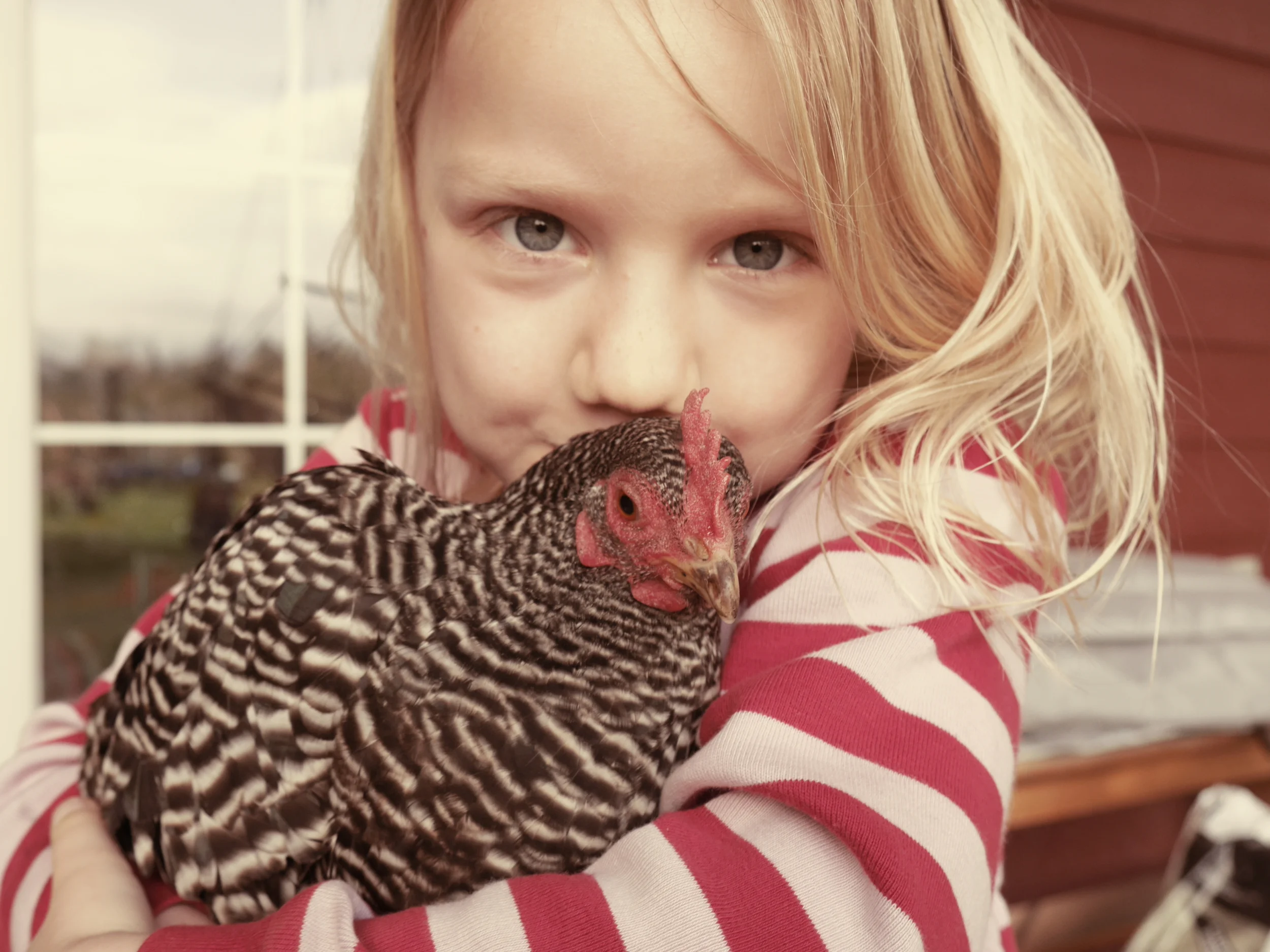 “Tot tot” and her favorite show chicken, "megan."