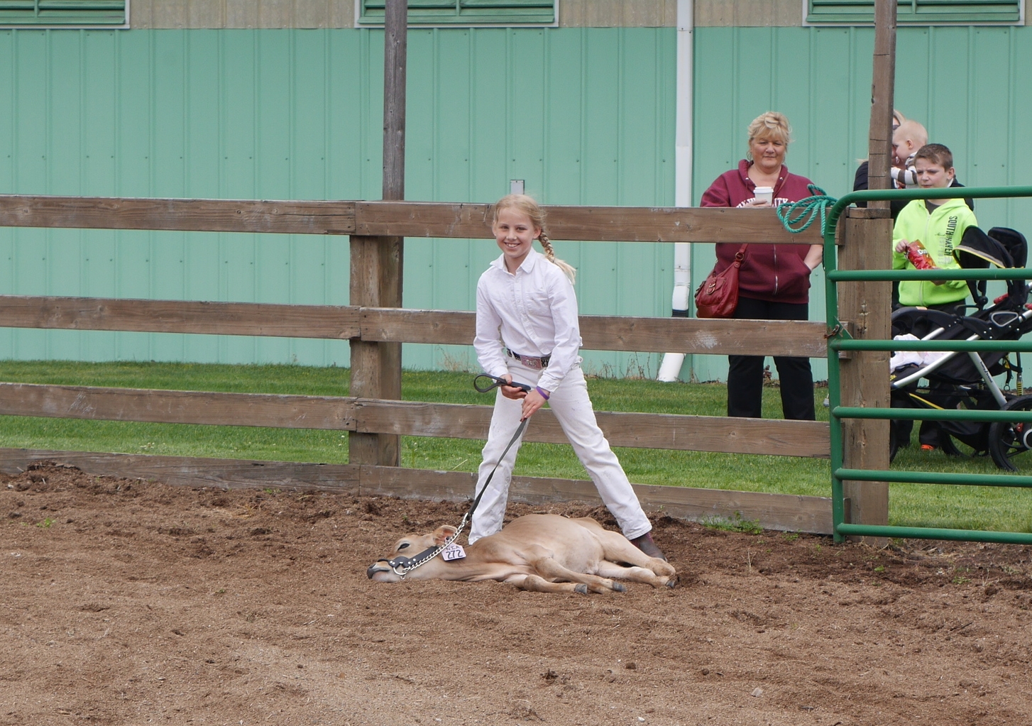 Libby's fainting calf.