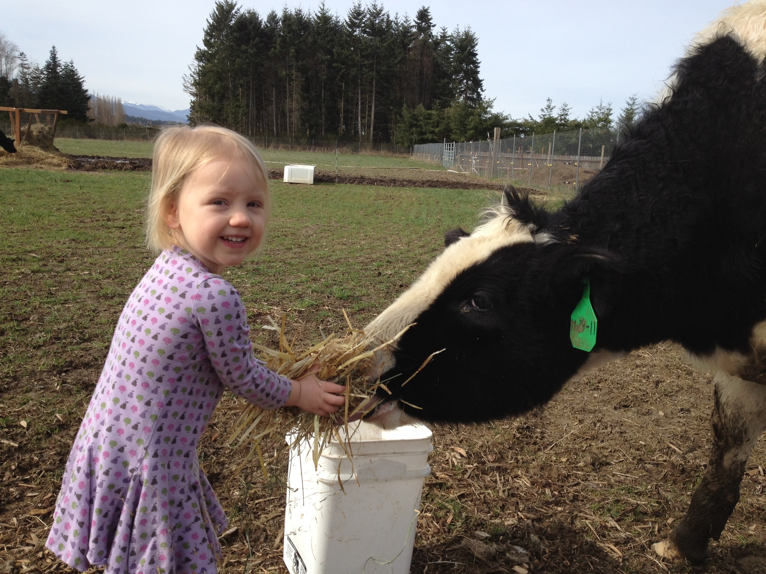 Asha and Milky 2012