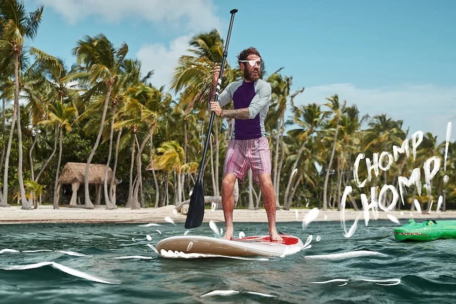 IMG-EXC-KEY+WEST-Standup+Paddleboard+Eco+Adventure-Illustration-v1-01-1200x800.jpg