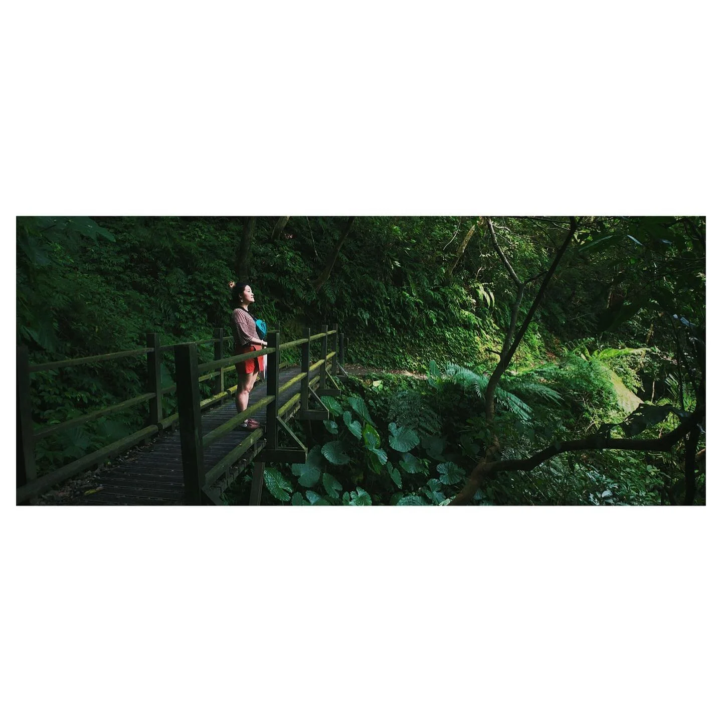 &ldquo;Been traveling these wide roads for so long&rdquo;

. 
.
.
.
.
.

#hiking #hikingadventures #trailadventure #taiwantrail #宜蘭  #宜蘭景點  #礁溪 #礁溪景點 #sliceoflife #yilan #yilantravel #jiaoxi #visual_taiwan #naturephotography #mountainscape #travelgra