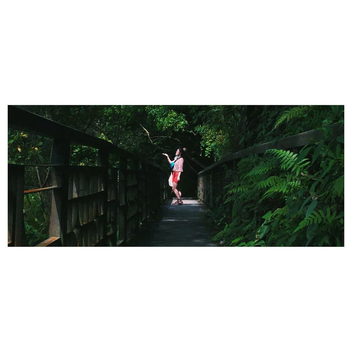 &ldquo;In my darkness I remember&rdquo;

.
.
.
.
.
.

#hiking #hikingadventures #trailadventure #taiwantrail #宜蘭  #宜蘭景點  #礁溪 #礁溪景點 #sliceoflife #yilan #yilantravel #jiaoxi #visual_taiwan #naturephotography #mountainscape #travelgram #台湾旅行 #color #lan