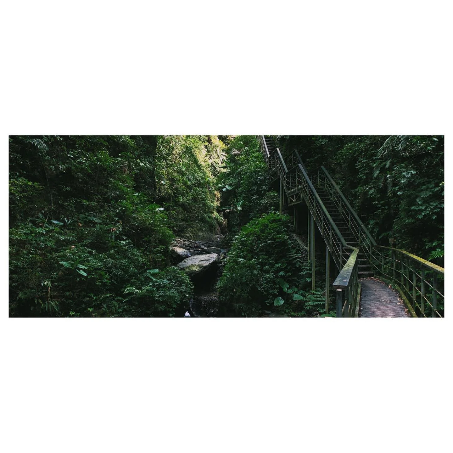 &ldquo;Take me to your river, I wanna go&rdquo;

.
.
.
.
.

#hiking #hikingadventures #trailadventure #taiwantrail #宜蘭  #宜蘭景點  #礁溪 #礁溪景點 #sliceoflife #yilan #yilantravel #jiaoxi #visual_taiwan #naturephotography #mountainscape #travelgram #台湾旅行 #colo