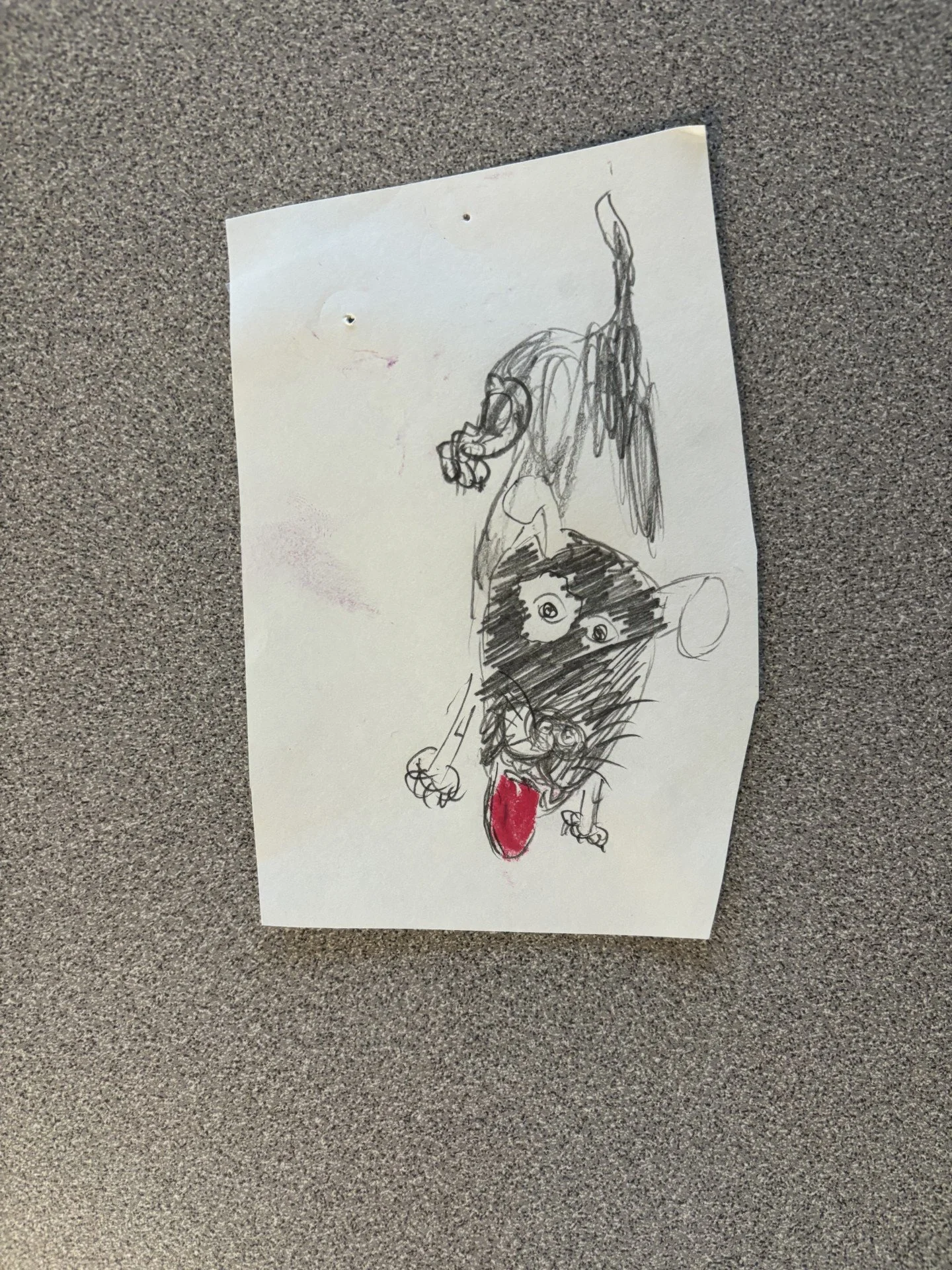 image 7.jpg