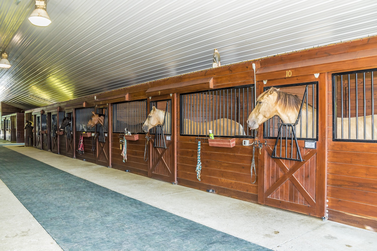 Each of our 16 12 x 12 (and two 12 x 16) stalls have rubber mats, a high quality fan, hay rack, automatic fly spray system, and a dutch door with a window looking out of the barn