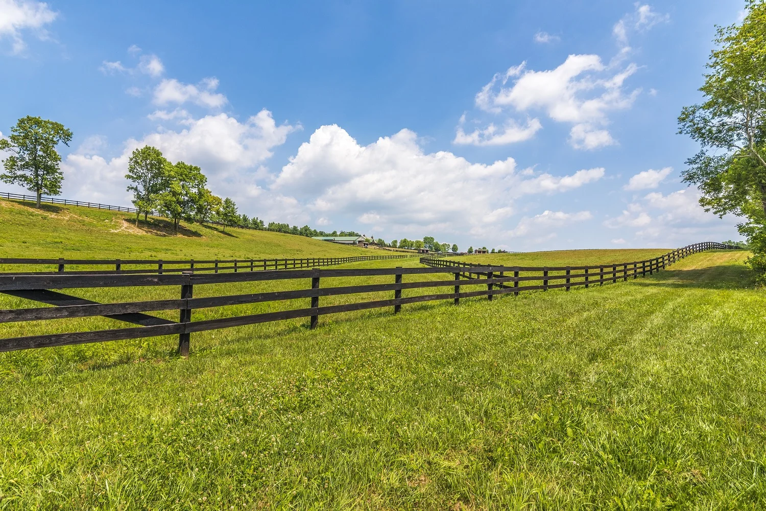 Our 10 miles of trails go around the PERIMETER of our pastures...