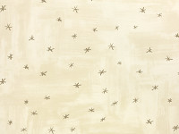 W581/02 Twinkle Twinkle Wallcovering Stucco (Copy)